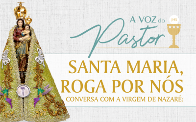 Santa Maria, Roga Por Nós