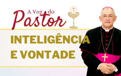 Inteligência e Vontade