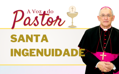 Santa Ingenuidade