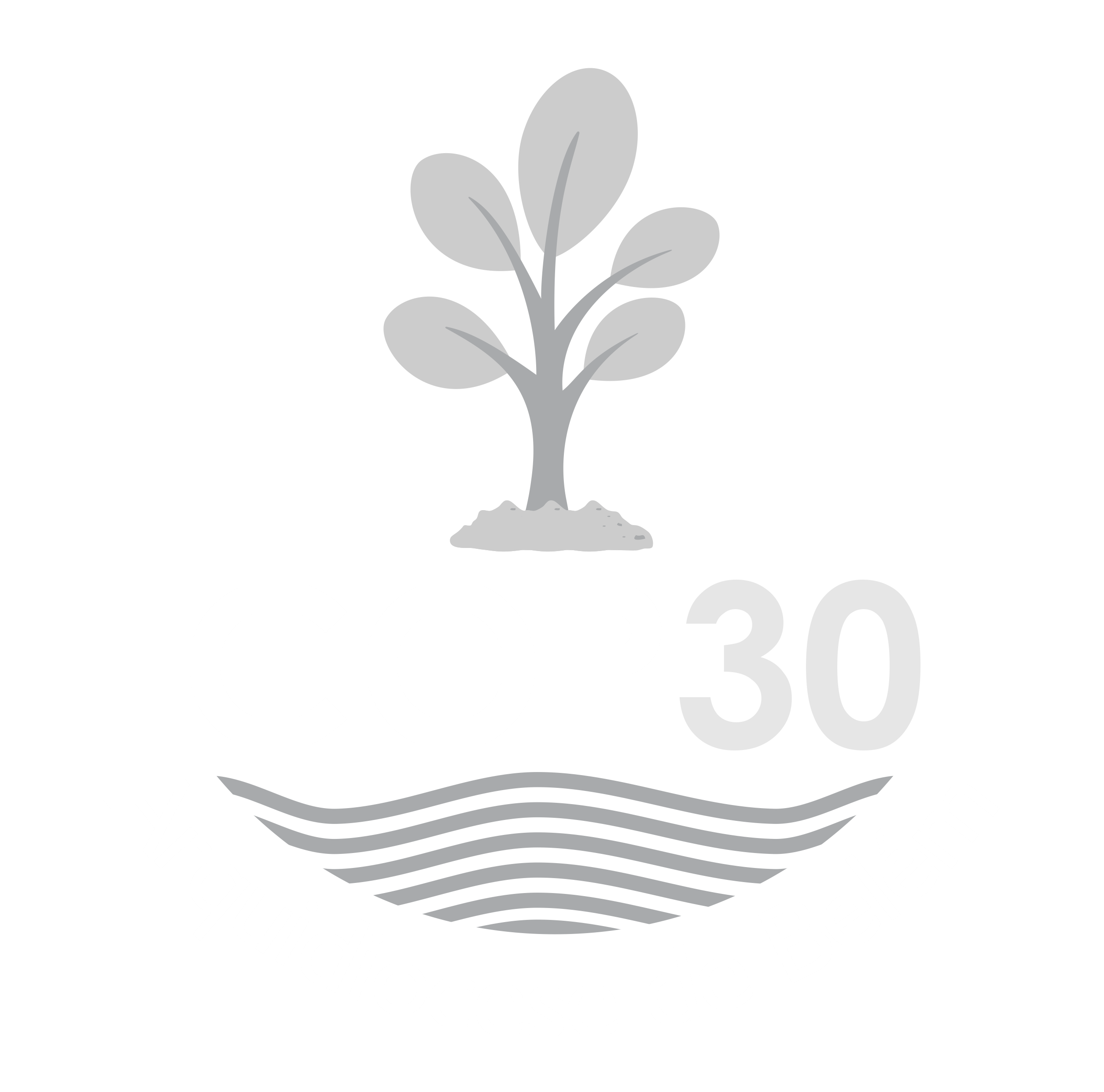COP30