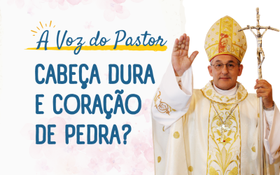 Cabeça Dura e Coração de Pedra?