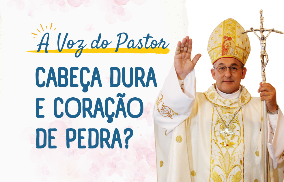 Cabeça Dura e Coração de Pedra?