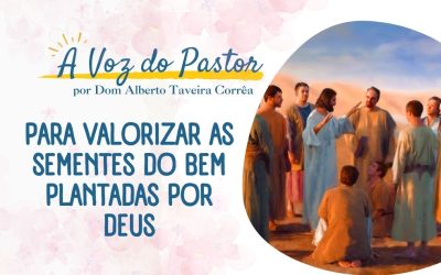 Para valorizar as sementes do bem plantadas por Deus