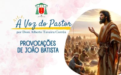 PROVOCAÇÕES DE JOÃO BATISTA