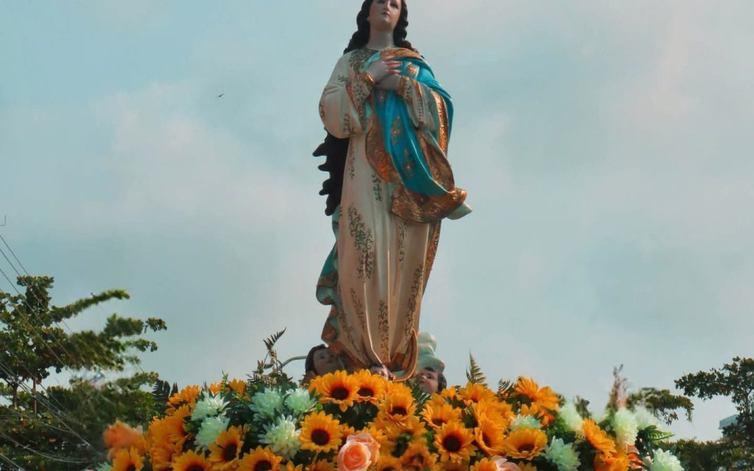 Solenidade da Imaculada Conceição